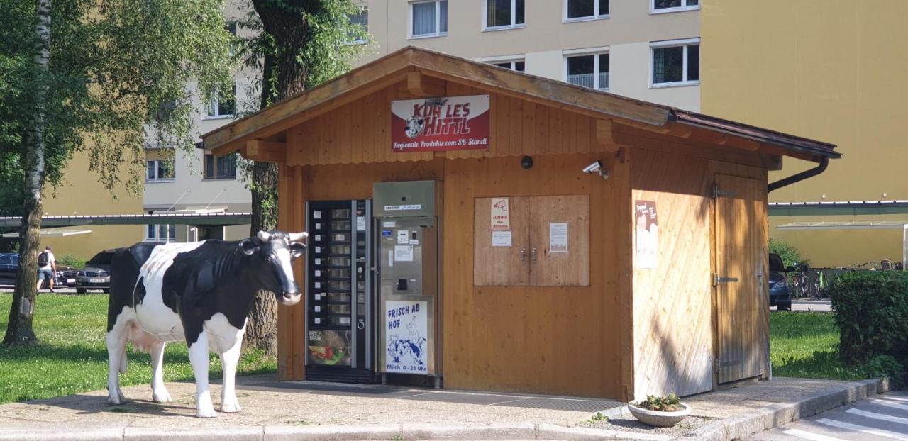 Ferienwohnung Singer フェルス エクステリア 写真